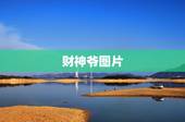 财神爷图片，财神爷图片摆放客厅什么位置