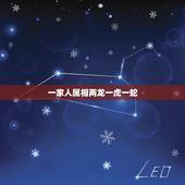 一家人属相两龙一虎一蛇，一家人属相龙，蛇，马，羊，猴 这都是挨着，有说