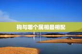 狗与哪个属相最相配，狗的更佳婚配属相