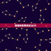 婚姻树免费测试2023，婚姻树准确吗，本人31岁，单身，男，测试了一下