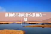 属相虎不能和什么属相在一起，属相蛇和虎，注定不能在一起嘛？