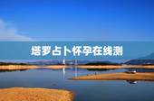 塔罗占卜怀孕在线测，求测什么时候子女缘到，八字，女1992年7月22日