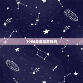 1984年金鼠命好吗，1984年3月13日（阴历2月初十一）后半夜一点
