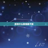 龙和什么属相最不配，跟龙不配的生肖是什么
