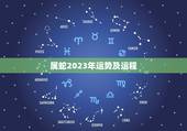 属蛇2023年运势及运程 1977年属蛇45岁2022年未来5年运气