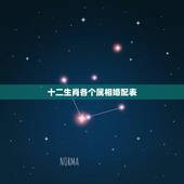 十二生肖各个属相婚配表，最全的十二生肖相配相克(12属相婚配表)(1)