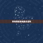 男兔婚配属相最合适吗，属兔男的适合婚配属相