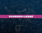 属羊的摩羯男和什么属相最配，属羊女摩羯座和什么生肖星座最配