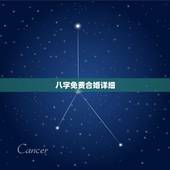 八字免费合婚详细，求高手详细说说我和女朋友的八字，是否合婚，不要网上免