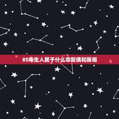 85年生人属于什么命配偶和属相，85年属牛的女和什么属相配