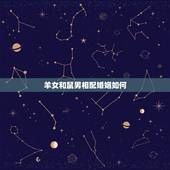 羊女和鼠男相配婚姻如何，鼠和鼠相配婚姻如何