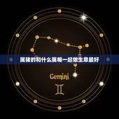 属猪的和什么属相一起做生意最好，属猪的和属鼠的做生意合的来吗