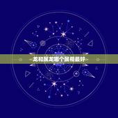 龙和属龙哪个属相最好，属龙和什么属相结婚好
