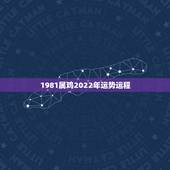 1981属鸡2022年运势运程，生于1981年的鸡未来十年运势