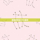 属猪的命运1983猪年，1983属猪人的命运