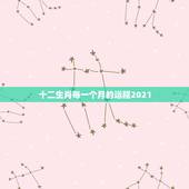 十二生肖每一个月的运程2021，2021年十二生肖运势运程