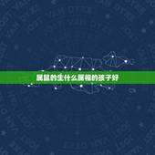 属鼠的生什么属相的孩子好，属相-两个属鼠的人生个什么属相的宝宝好？