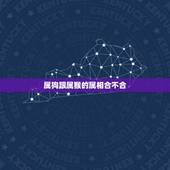 属狗跟属猴的属相合不合，狗和猴相克吗？