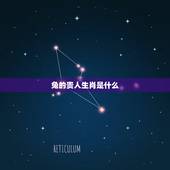 兔的贵人生肖是什么，属猴生肖贵人是哪些