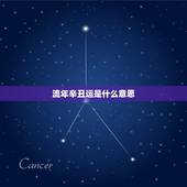 流年辛丑运是什么意思，己亥大运 己亥流年 指的是什么意思