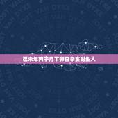 己未年丙子月丁卵日辛亥时生人，己巳丙子丁未辛亥