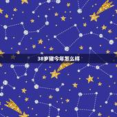 38岁猪今年怎么样，属猪在2022 年下半年怎么样