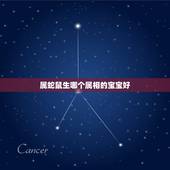 属蛇鼠生哪个属相的宝宝好，属相-两个属鼠的人生个什么属相的宝宝好？