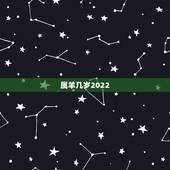 属羊几岁2022，2022 年1991属羊运势及运程