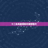 十二生肖最佳配对表格图片，十二生肖匹配表