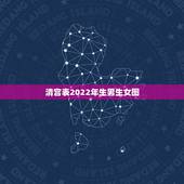 清宫表2022年生男生女图，2022 年清宫表生男生女图
