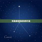 双鱼座容易成功的行业，双鱼座的人最适合做什么工作？