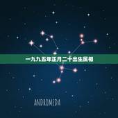 一九九五年正月二十出生属相，1998年农历正月二十五出生是什么命