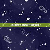 今天属蛇人的财运方向在哪里，属蛇今日财运在哪个方向