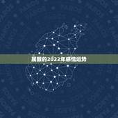 属猴的2022年感情运势，2004年出生属猴，2022年运程