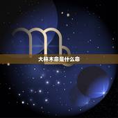 大林木命是什么命，大林木命的女人