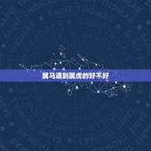属马遇到属虎的好不好，生肖马跟生肖虎结婚好不好
