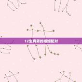 12生肖男的婚姻配对，十二属相更佳婚配表