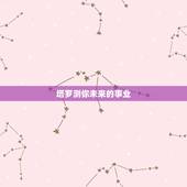 塔罗测你未来的事业，请帮我解释下这张牌塔罗牌是什么时候意思：一张牌测事