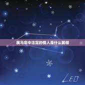 属马命中注定的情人是什么属相，属马命中注定的女人是谁
