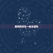 属狗和羊在一起合适吗，属狗的和属羊的相克吗