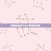属猴的宜找个什么属相的老婆，做生意属猴和什么属相好
