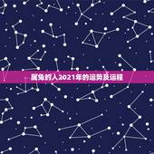 属兔的人2021年的运势及运程，属兔2021年运势及运程每月运程