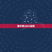 属牛男2022运势，2022年属牛男全年运势1973年出生