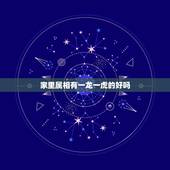 家里属相有一龙一虎的好吗，家有两猪一龙一虎一鸡一兔六个生肖好不好？
