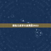 新生儿名字大全男孩2022，给宝宝起个好名字