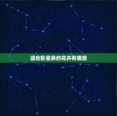 适合卧室养的花卉有哪些，什么花适合卧室养？