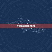1988年属龙2022 年运势，属龙男33岁2022 年每月运程