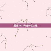 属虎2021年走什么大运，属虎的人2021年的运势及运程