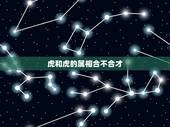 虎和虎的属相合不合才，属鼠和属虎的合不合