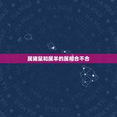 属猪鼠和属羊的属相合不合，属羊的和属鼠的合吗